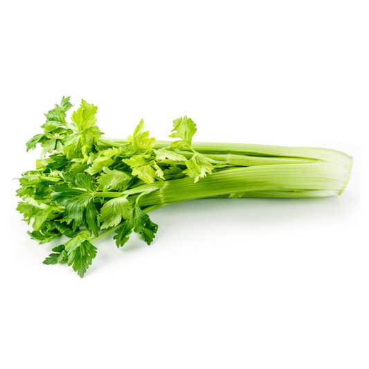 Celery 