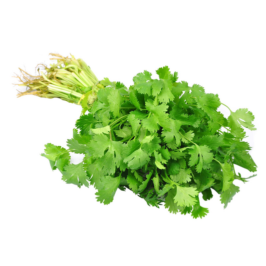 Coriander