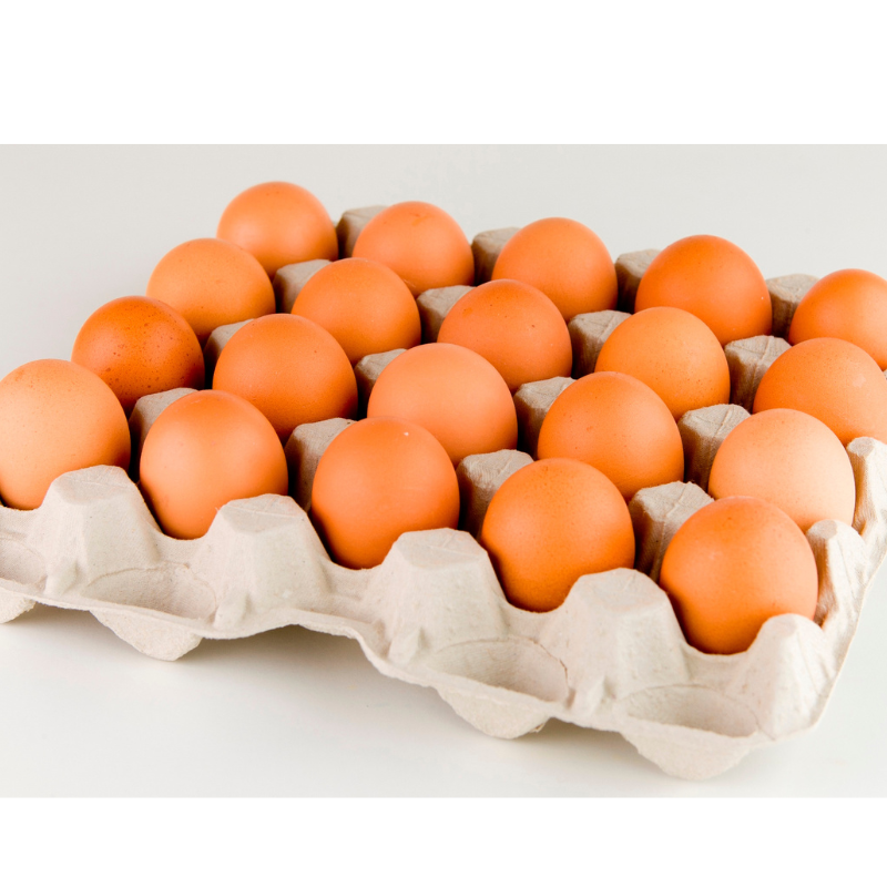 Eggs Cartons of 30 and 15 Units