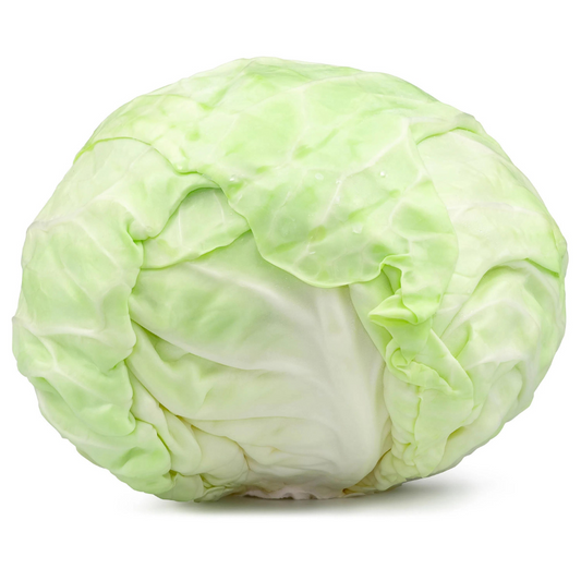 Cabbage